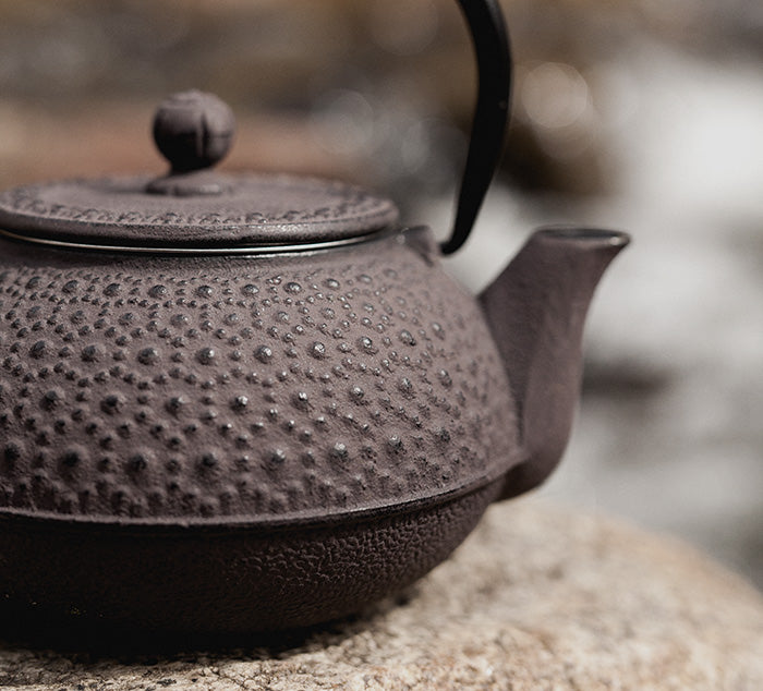http://www.theteaspot.com/cdn/shop/products/hobnail-brown-cast-iron-teapot-x21_1200x1200.jpg?v=1638415841