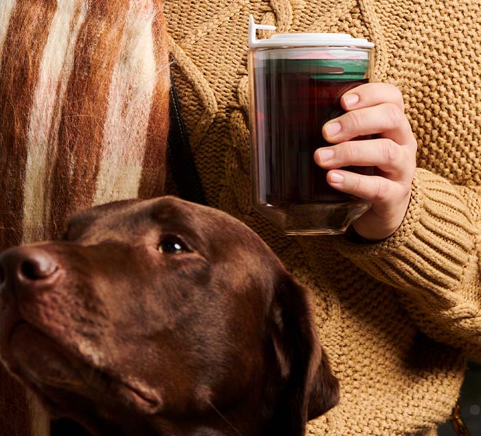 
                  
                    Person holding the Eclipse Mug filled with tea, cozy in a knit sweater, with a chocolate lab dog sitting beside them
                  
                