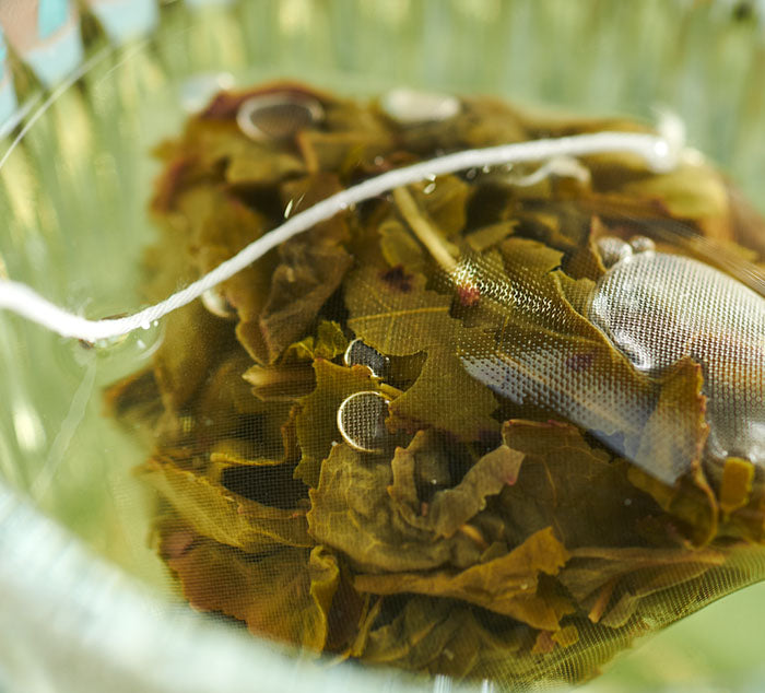 
                  
                    Close-up of Sugar Cookie Oolong tea leaves expanding inside a tea bag while steeping
                  
                